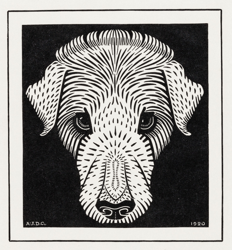 Dog's Head by Julie de Graag